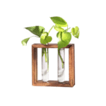 Modern Style Decorative Test Tube Planters with Wooden | Living Room / Office Decor